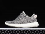 Yeezy Boost 350 Turtle Dove 2