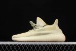 Yeezy Boost 350 V2 Antlia (Non Reflective)