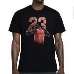 aj 13 dune red t shirt match number 23 panther zpjkk.jpeg