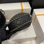 chanel as3917 small hobo bag lambskin shiny light gold metal black 006 luxibags.ru .jpg