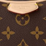 louis vuitton croissant mm monog 9.jpg